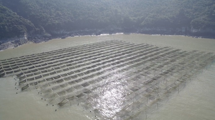 福建 嵛山岛 水产养殖 航拍4K