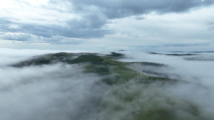 高山树林云雾涌动