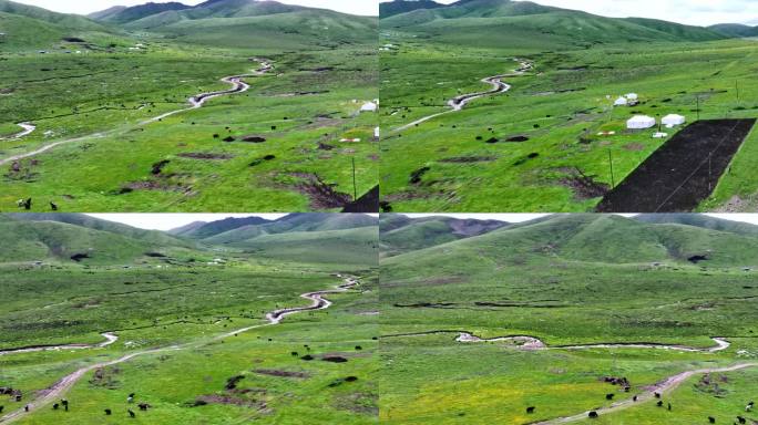 藏区高原牧场绿草地航拍