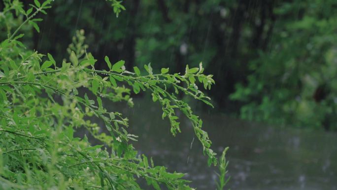 4K素材-下雨天雨滴在地面流水空镜