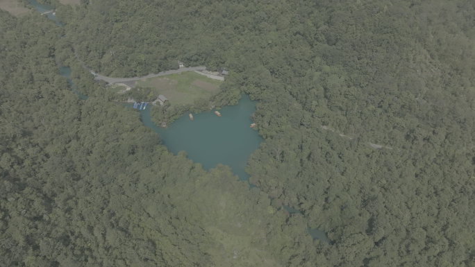 4k森林大自然风景喀斯特山川