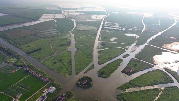 4K航拍自然湿地江苏九龙口