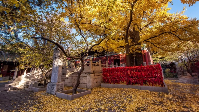 北京延时 红螺寺