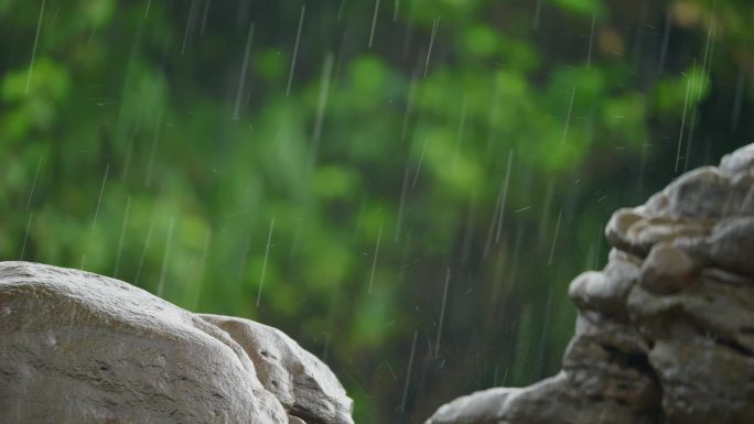 绿色自然雨丝雨滴下雨飘雨唯美诗意意境风景