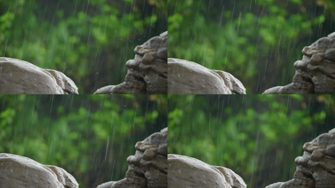 绿色自然雨丝雨滴下雨飘雨唯美诗意意境风景