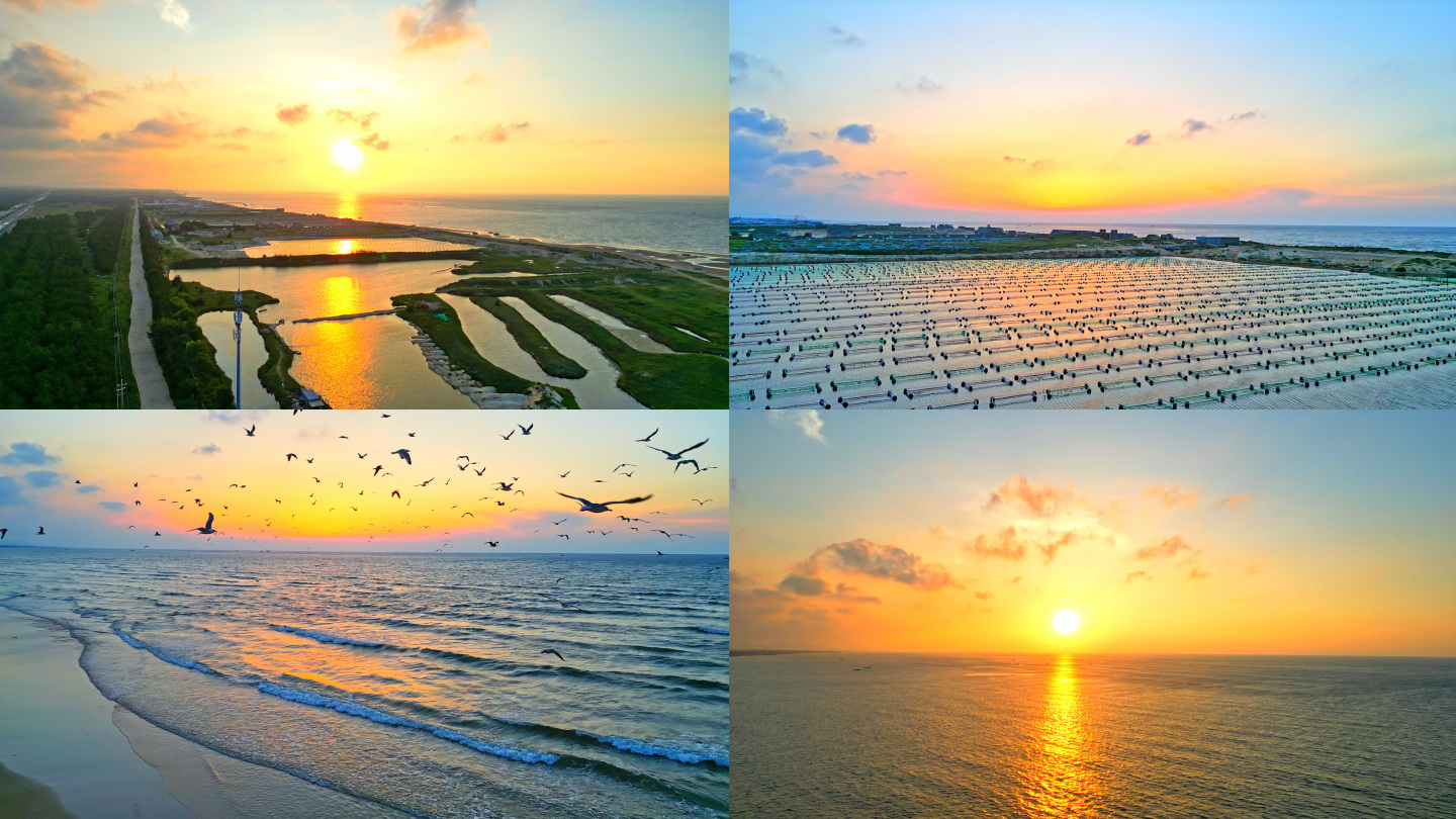 4K清晨海上日出养殖海带夕阳海滩海鸥飞翔
