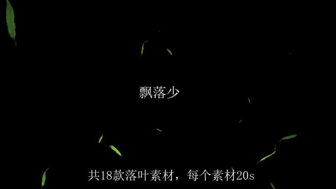 【4K】18款柳叶落叶飘落通道视频2
