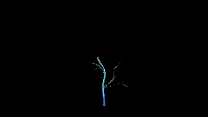 粒子树生长动画 辽古果高清4K原创视频