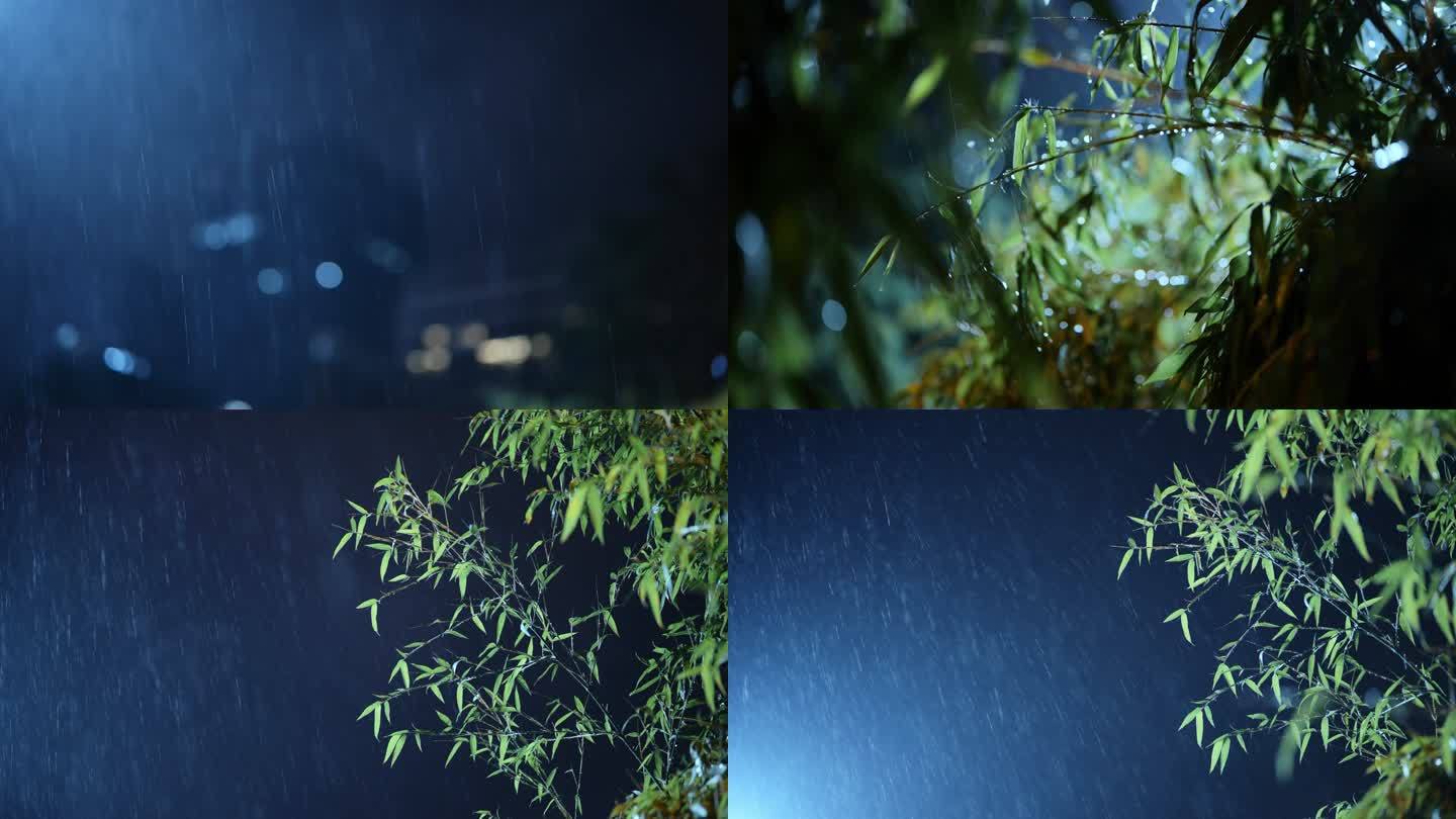 4K雨中的竹叶