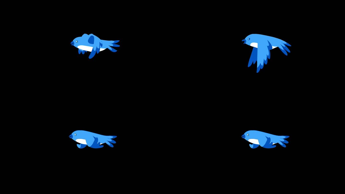 蓝色小鸟【无损带通道alpha循环视频】