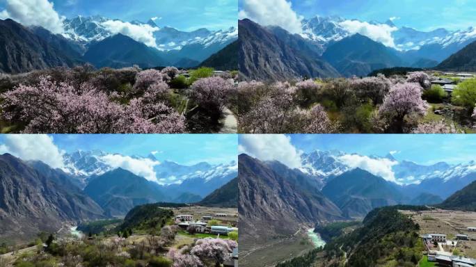 林芝索松村桃花 南迦巴瓦风光