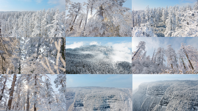 瓦屋山唯美壮观雪后森林