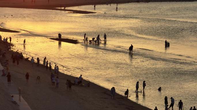 夕阳 大海 车水马龙 跨海大桥 游玩的人