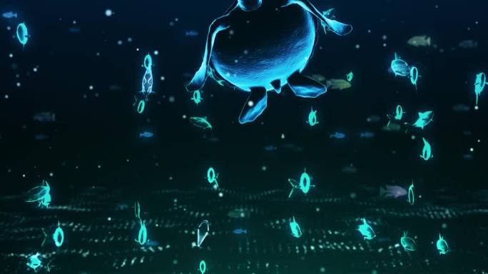 海底世界 海洋生物  梦幻