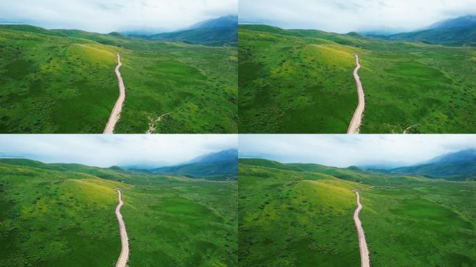 航拍草原公路 草原天路风景