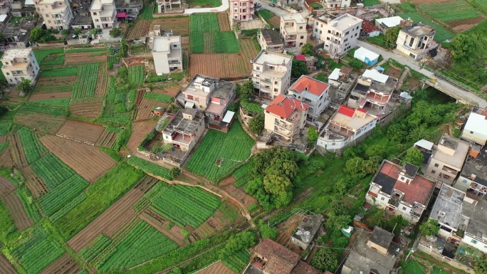 泉州泉港黄素石楼航拍
