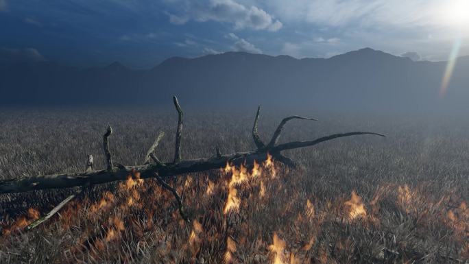 森林火灾山火