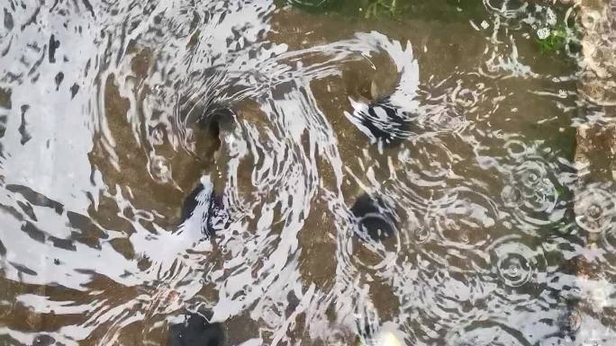 雨水流进下水道形成漩涡