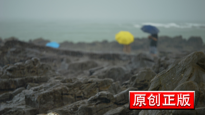 唯美诗意自然雨景雨滴雨点下雨自然生态风景