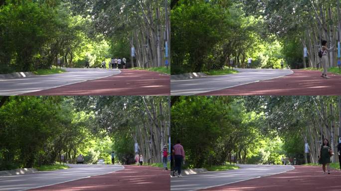 夏末秋初公园步行道行人健身经过人文实拍