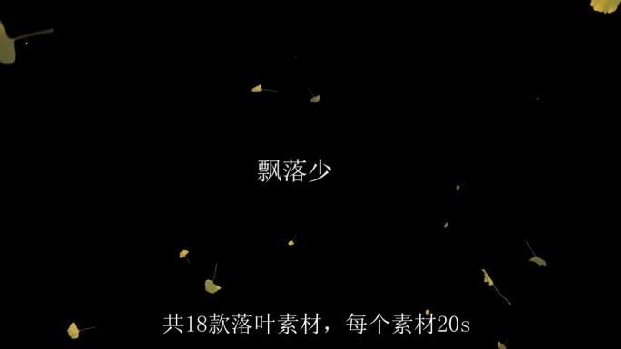 【4K】18款银杏落叶飘落通道视频