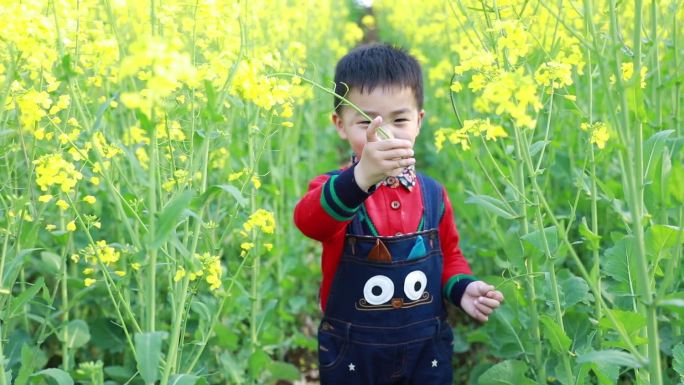 快乐的男孩在油菜花地里玩耍