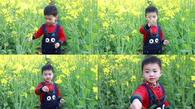 快乐的男孩在油菜花地里玩耍