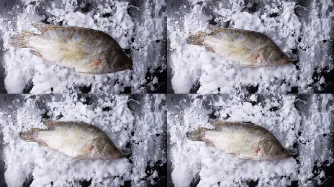 鱼落到冰沙上