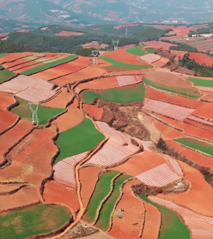 东川红土地，多彩的土地，航拍视角田园风光