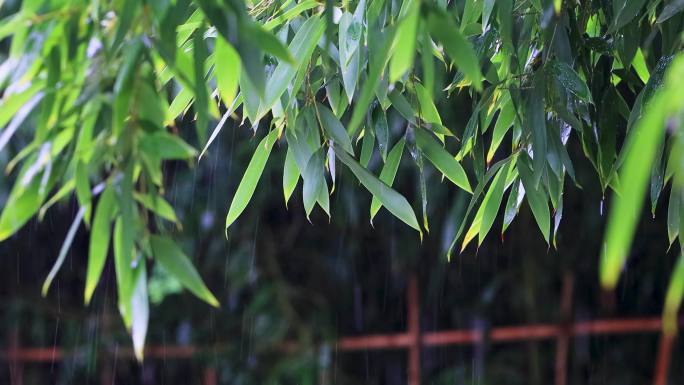 雨清明谷雨竹叶雨水下雨秋雨