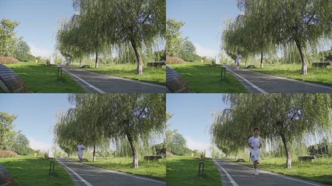 树荫下跑步强身健体自由奔跑向往远方健康