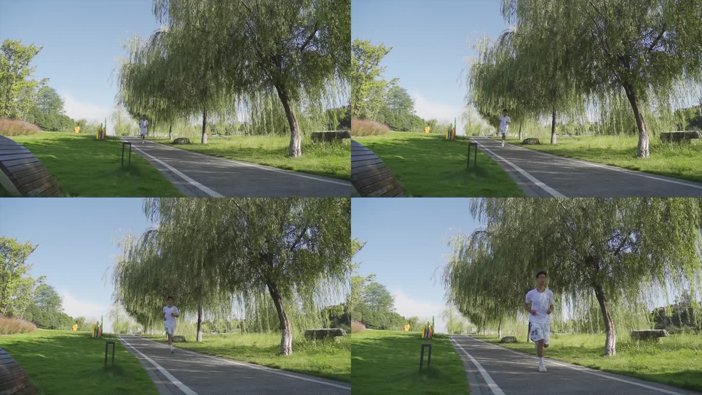 树荫下跑步强身健体自由奔跑向往远方健康