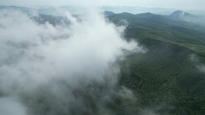 云雾风景