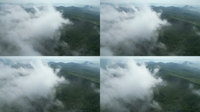 云雾风景