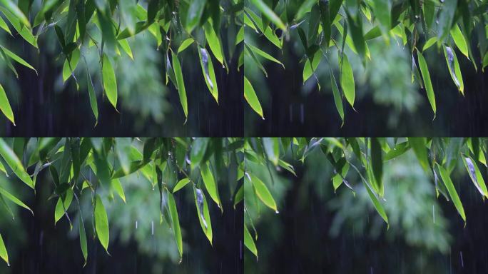 雨清明谷雨竹叶雨水下雨秋雨