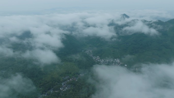 航拍龙井村