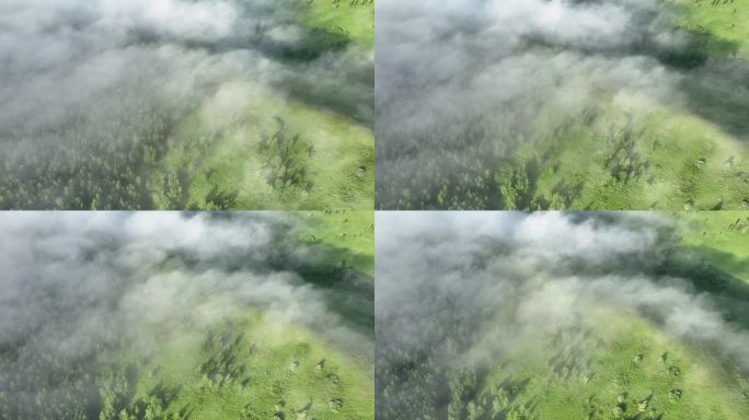航拍云雾缭绕的青山