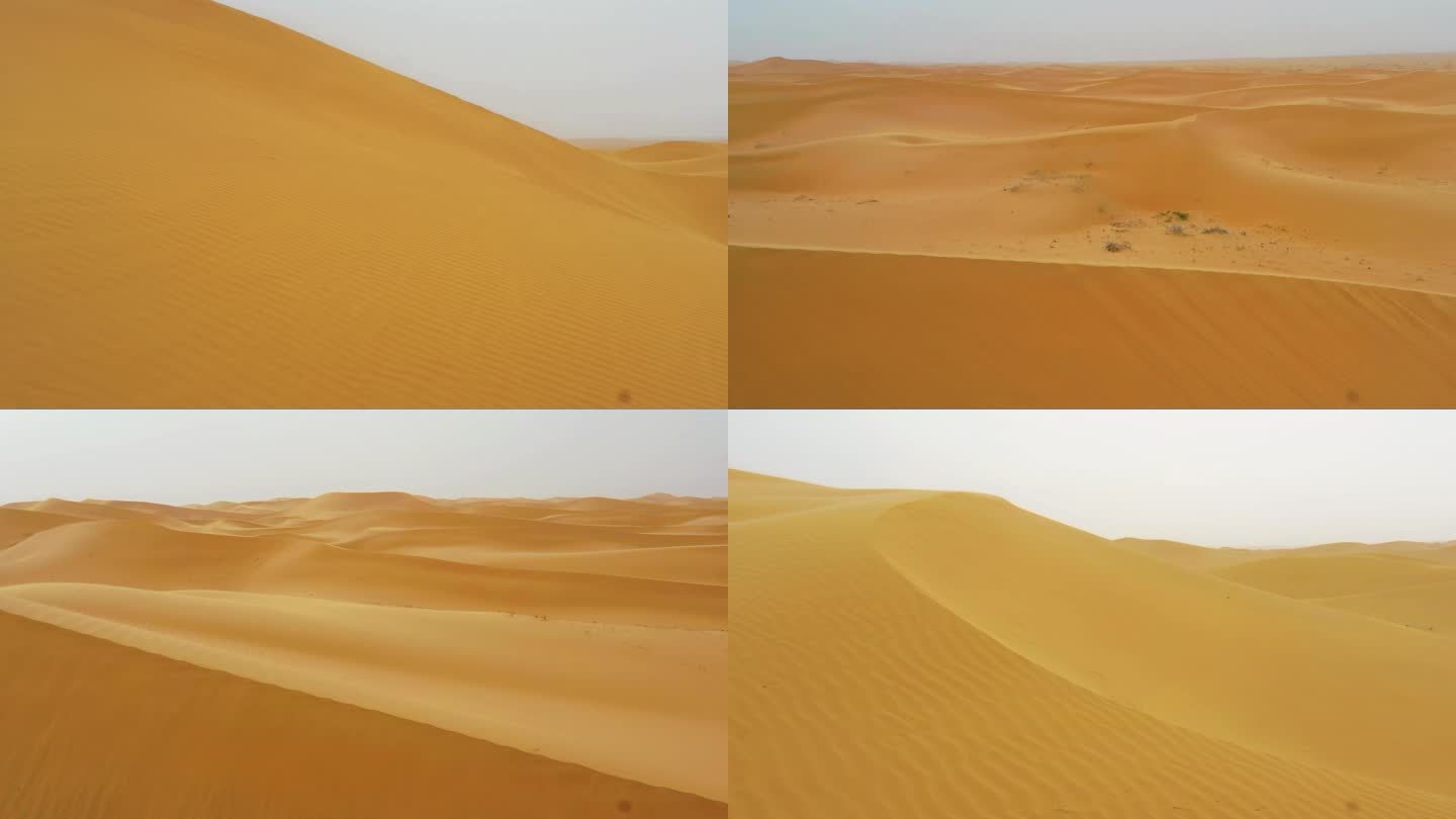 沙漠里de 刮风天气
