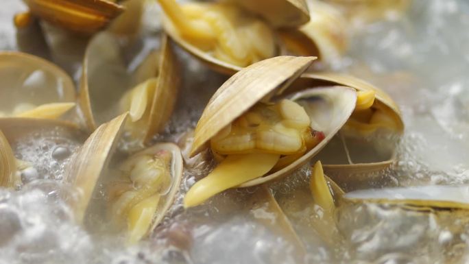 花蛤 花甲 海鲜  美食 蛤蜊 水产