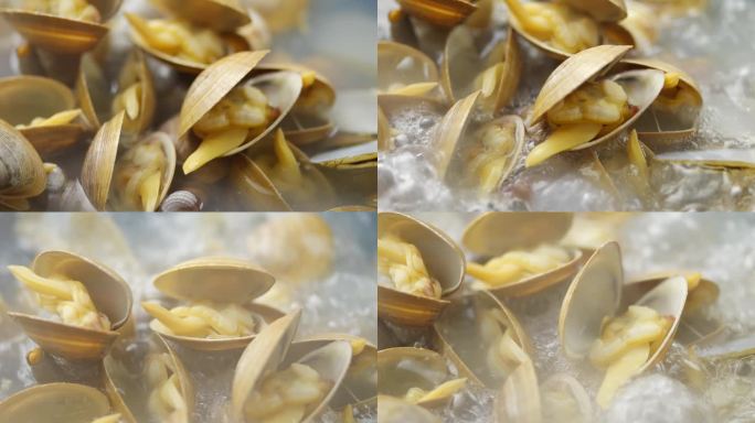 花蛤 花甲 海鲜  美食 蛤蜊 水产