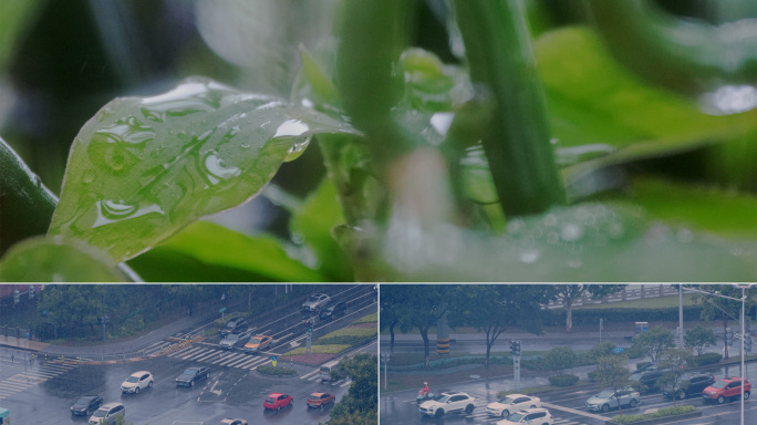 雨天车流片段