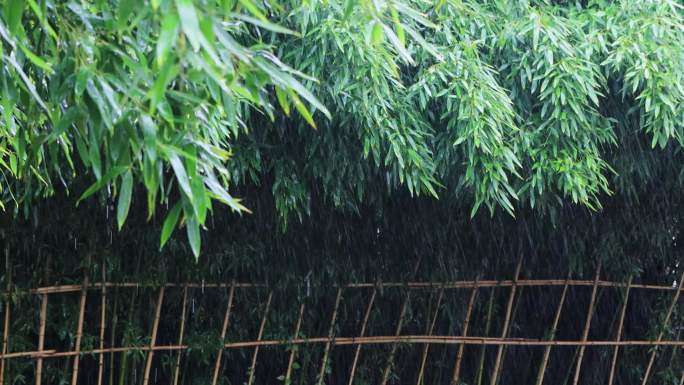 雨清明谷雨竹叶雨水下雨秋雨