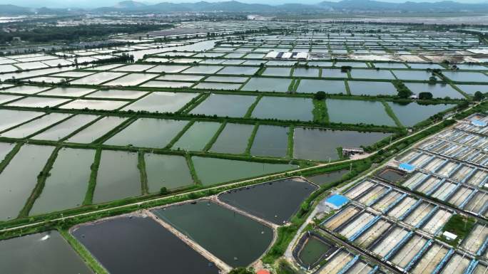 万亩水产养殖基地