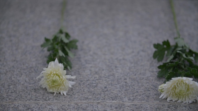 缅怀革命先烈 烈士陵园献花C024