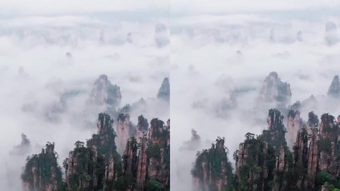 张家界的云雾，武陵源景区的云海