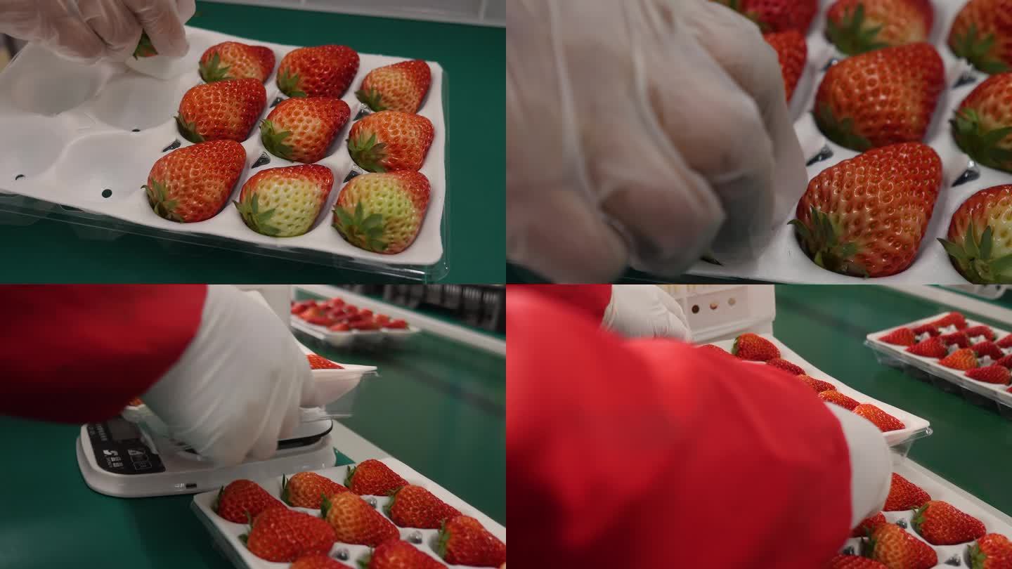 包装草莓