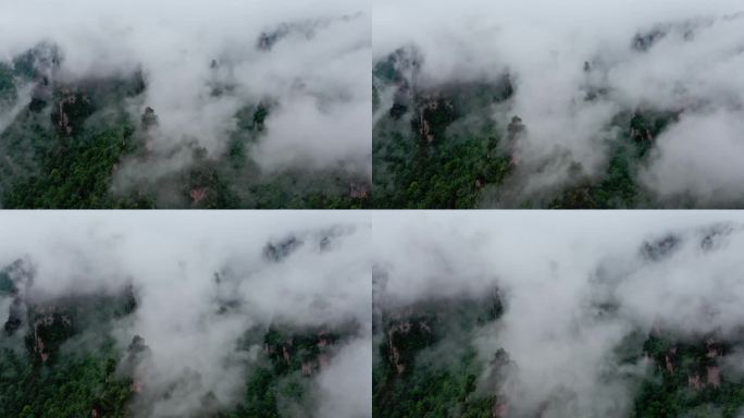 张家界的云雾，武陵源景区的云海