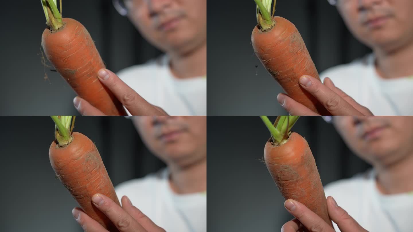 高品质胡萝卜
