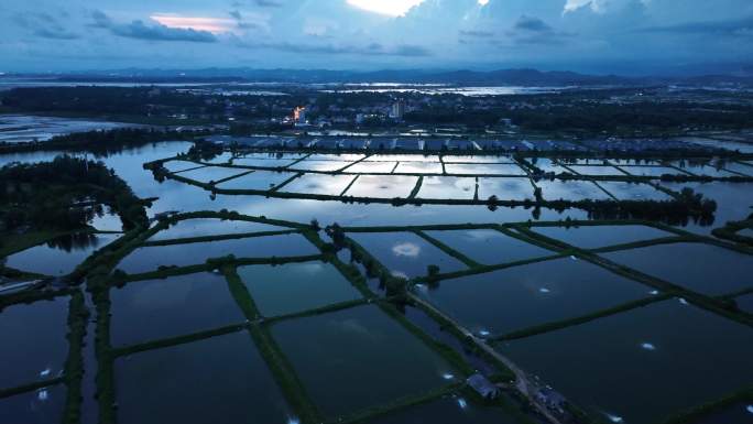 广西万亩生态水产养殖基地｜倒影形成玻璃海