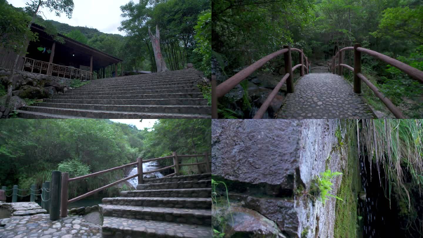 武夷山桐木关十八寨 龙川大峡谷